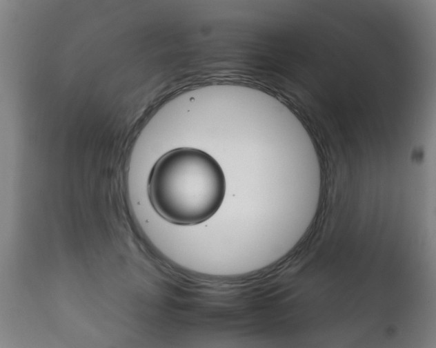 X0000111900751200907271010