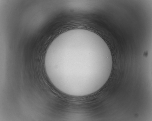 X0000111900752200907271010