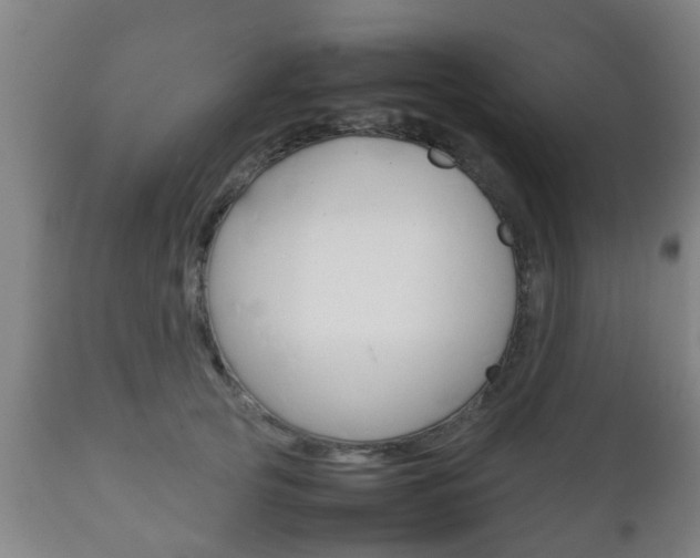 X0000111900753200907271010