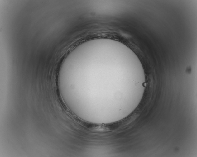 X0000111900754200907271010