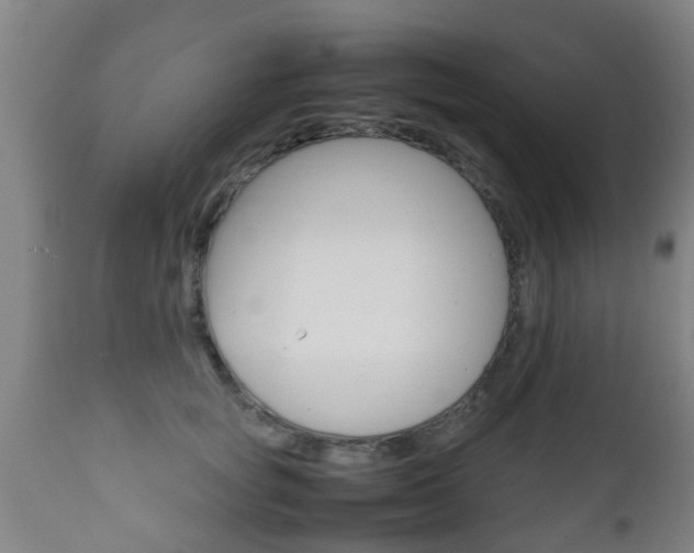 X0000111900757200907271010