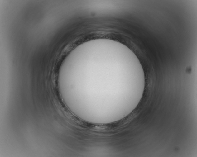 X0000111900758200907271010