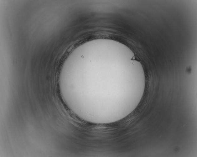 X0000111900759200907271010