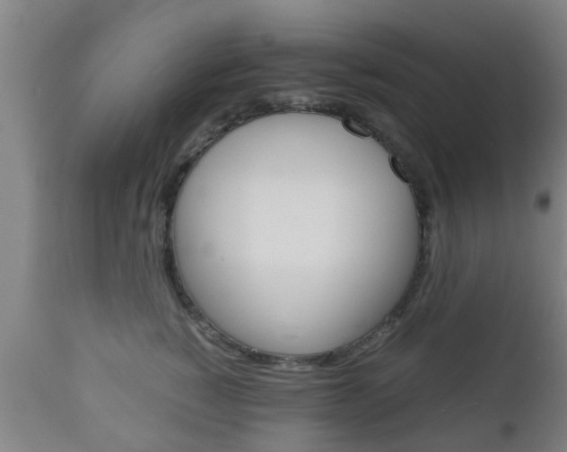 X0000111900760200907271010
