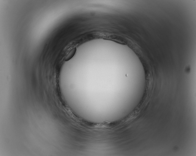 X0000111900762200907271010