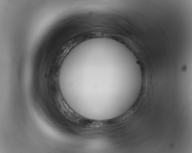 X0000111900764200907271010