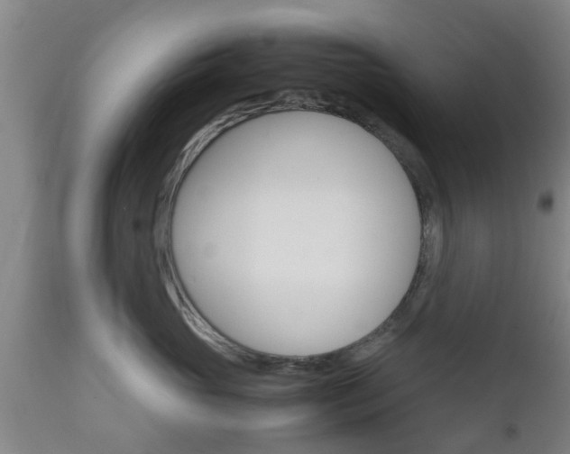 X0000111900765200907271010
