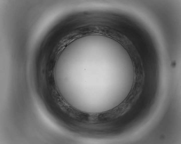 X0000111900766200907271010