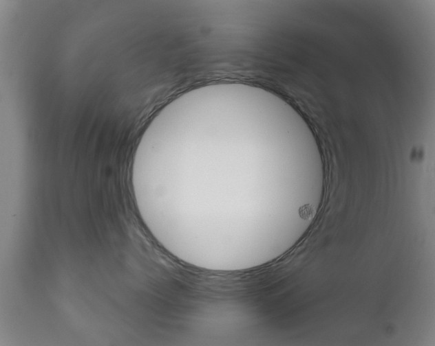 X0000111900768200907271010