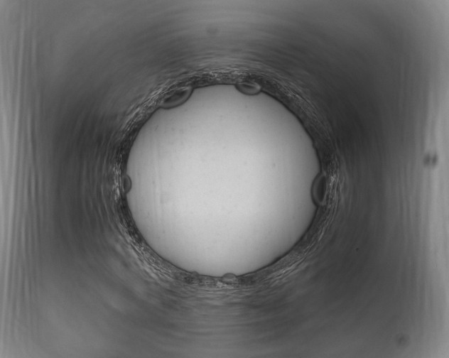 X0000111900772200907271009