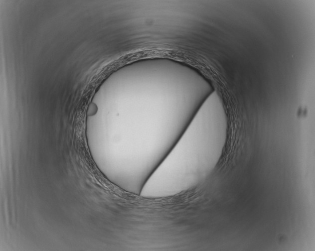 X0000111900773200907271009