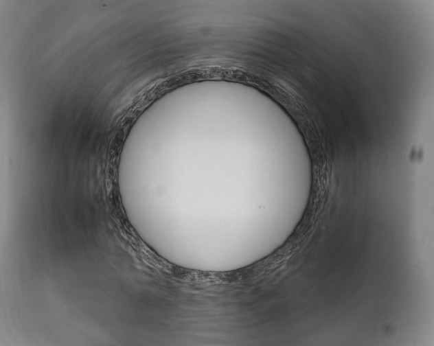 X0000111900774200907271009