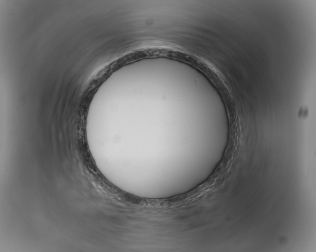 X0000111900775200907271009
