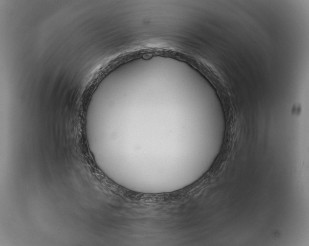 X0000111900776200907271009