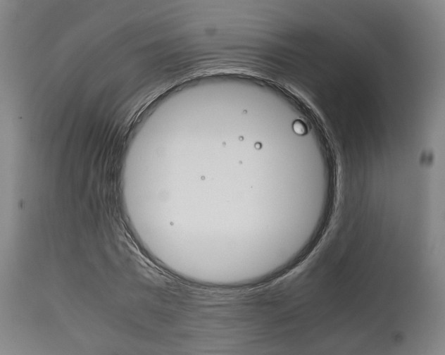 X0000111900777200907271009