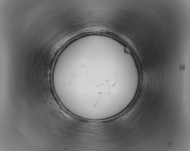 X0000111900778200907271009