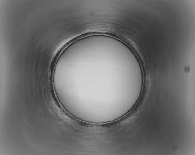 X0000111900779200907271009