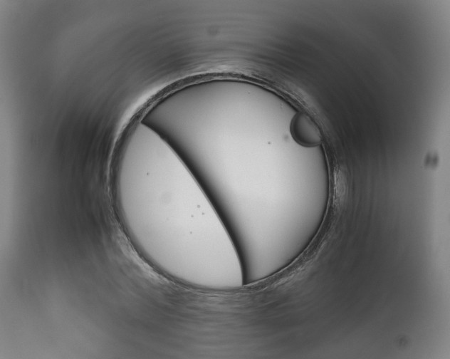 X0000111900780200907271009