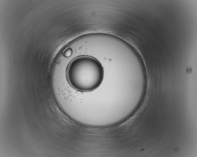 X0000111900781200907271009