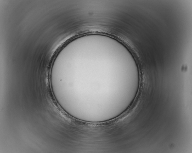 X0000111900782200907271009