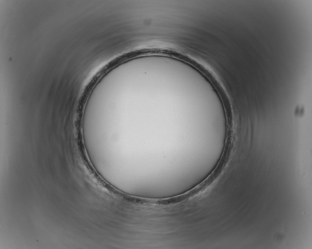 X0000111900783200907271009