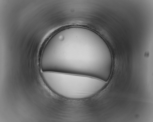 X0000111900784200907271009