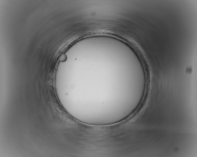 X0000111900785200907271009