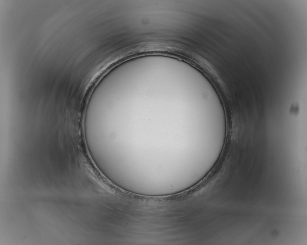 X0000111900786200907271009