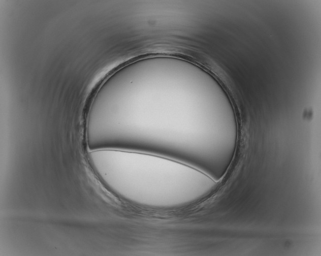 X0000111900787200907271009