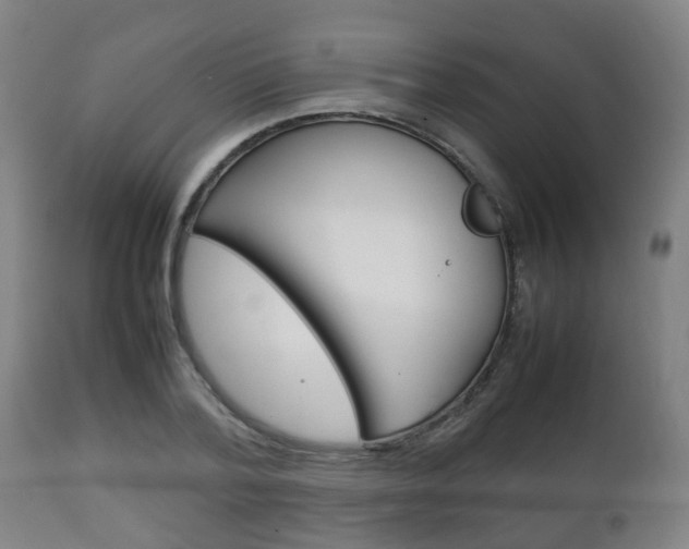 X0000111900788200907271009