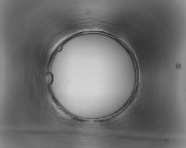 X0000111900789200907271009