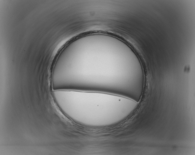 X0000111900791200907271009