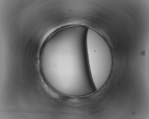 X0000111900792200907271009