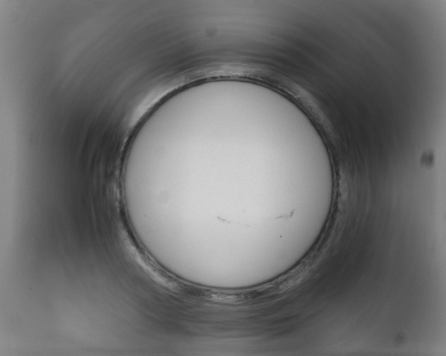 X0000111900794200907271009