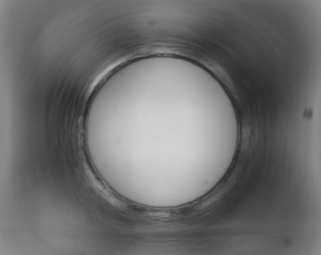 X0000111900798200907271009
