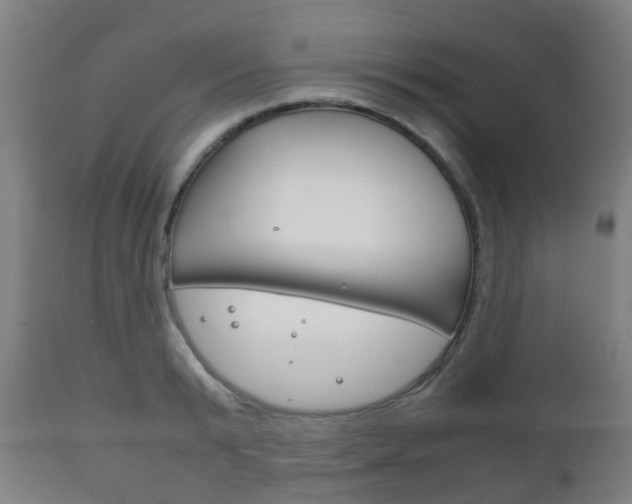 X0000111900799200907271009