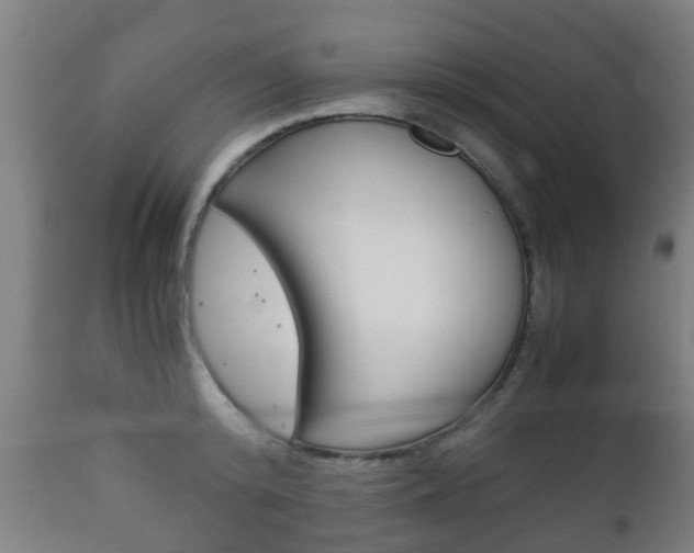 X0000111900800200907271009