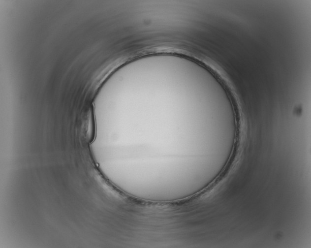 X0000111900801200907271009