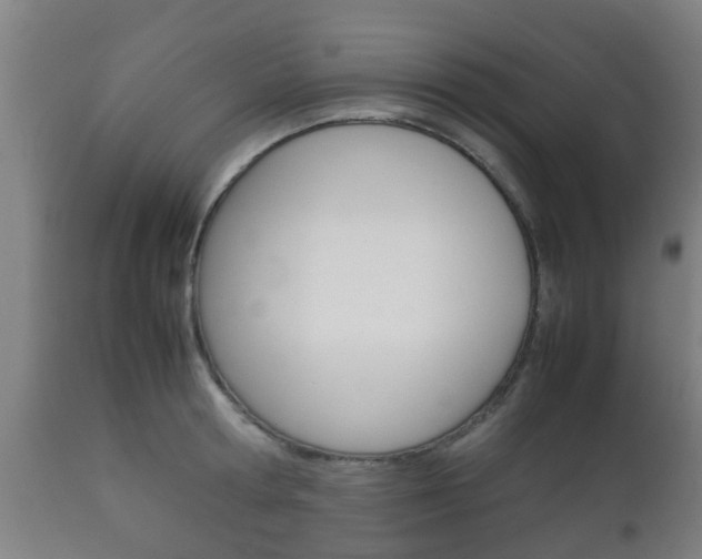 X0000111900802200907271008