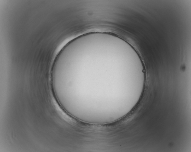 X0000111900803200907271008