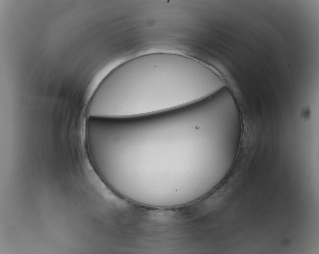 X0000111900804200907271008