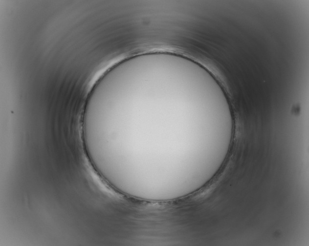 X0000111900806200907271008
