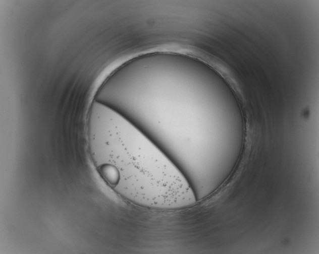 X0000111900808200907271008