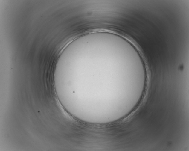 X0000111900809200907271008