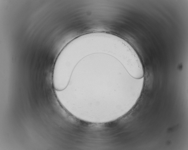 X0000111900810200907271008