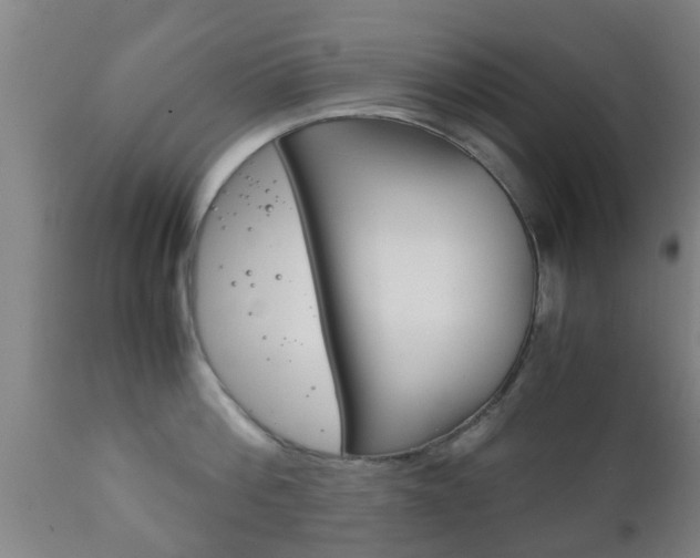X0000111900812200907271008
