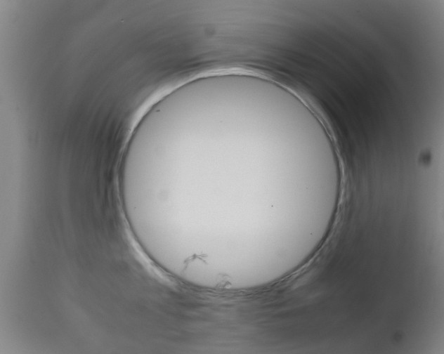X0000111900813200907271008