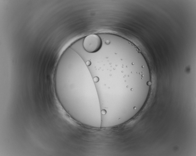 X0000111900814200907271008