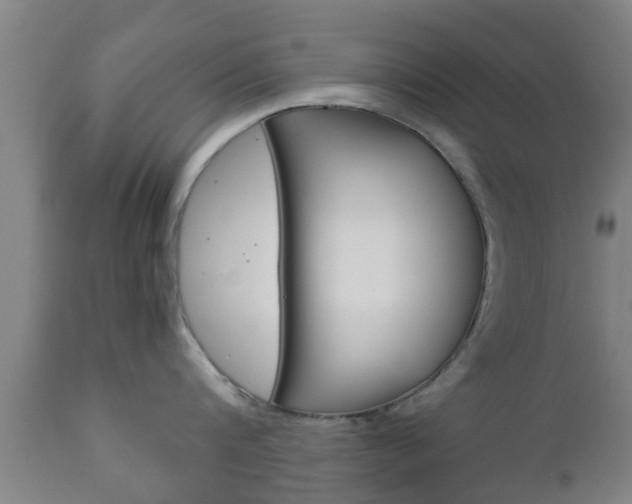 X0000111900816200907271008