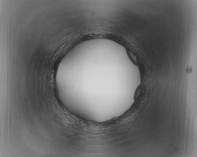 X0000111900818200907271007